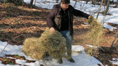 Bursa’da aç kalan geyikleri elleriyle besliyorlar