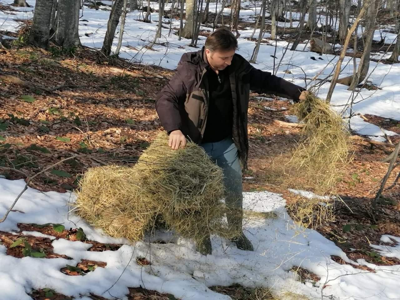 Bursa’da aç kalan geyikleri elleriyle besliyorlar