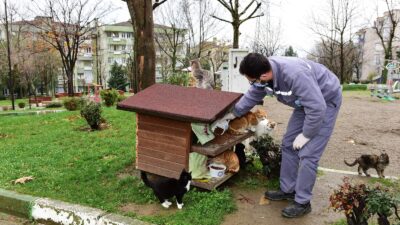 Yıldırım’dan can dostlara şefkat eli
