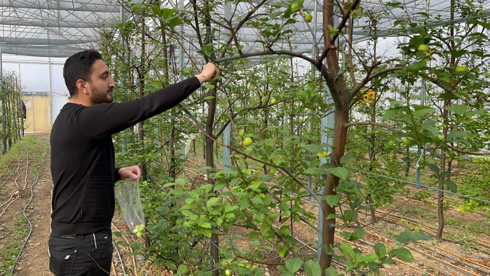 Bursa’da üretiliyor! Kilosu 2 bin TL…