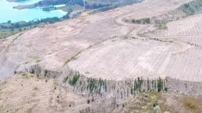 Türkiye’nin en büyüğü Bursa’ya yapılıyor! 739 futbol sahası kadar alanda ne olacak?
