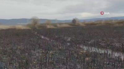 Bursa’da korku dolu anlar yaşanmıştı! İzleri gün ağarınca ortaya çıktı