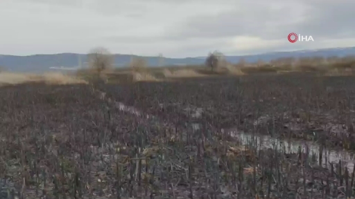 Bursa’da korku dolu anlar yaşanmıştı! İzleri gün ağarınca ortaya çıktı
