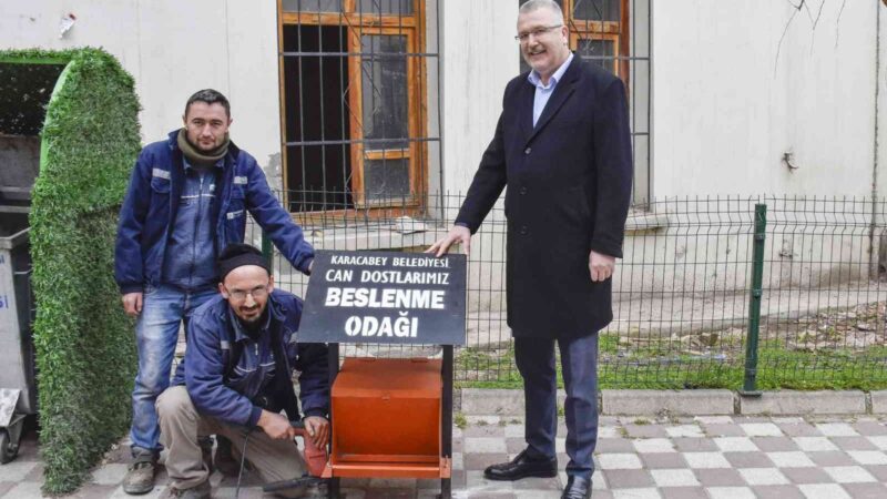 Karacabey Belediyesi başlattığı uygulama ile ilçede belirlenen noktalara sokak hayvanları