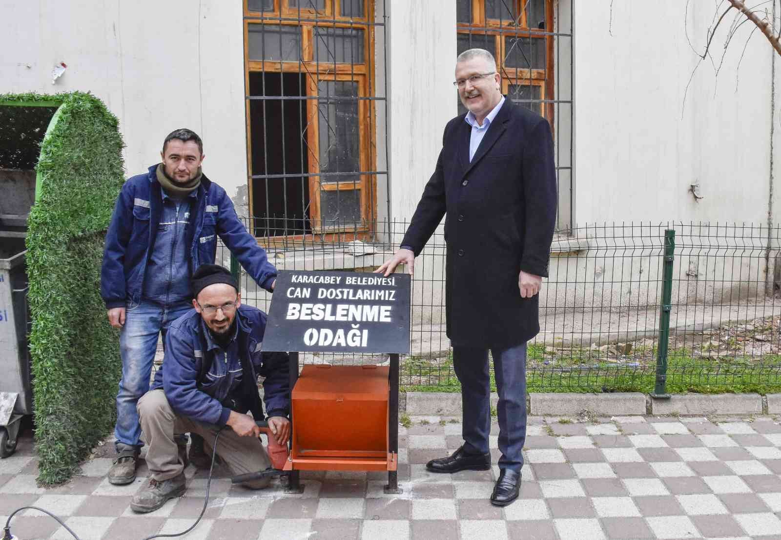Karacabey’de sokak hayvanları sahipsiz değil Karacabey’de sokak hayvanları sahipsiz değil