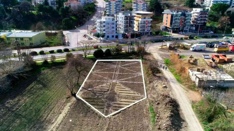 Safrandan kara mürvere lavantadan aynı sefaya tam 20 farklı bitki