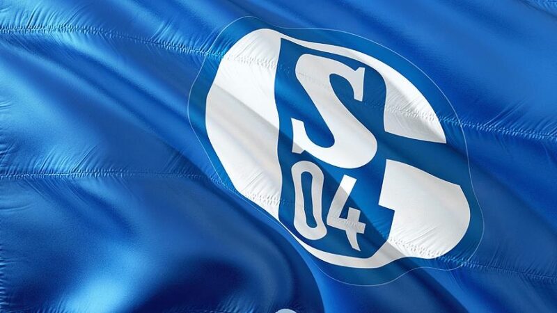 Almanya İkinci Futbol Ligi (Bundesliga 2) ekiplerinden Schalke 04, Rus