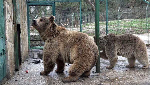 ‘Mişa’, ‘Maşa’ ve ‘Korkusuz Ovakorusu’nda yaşayacak ‘Mişa’, ‘Maşa’ ve ‘Korkusuz Ovakorusu’nda yaşayacak