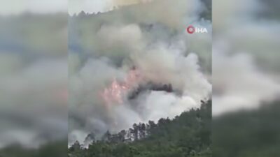 Çin’de yolcu uçağı düştü! 133 yolcu taşıyordu