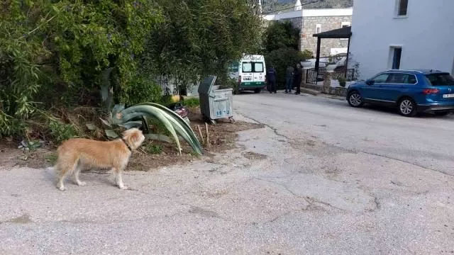 Ünlü ismin ölümünün ardından köpeği arkasından baka kaldı