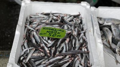 Fırtına balık fiyatlarını yükseltti