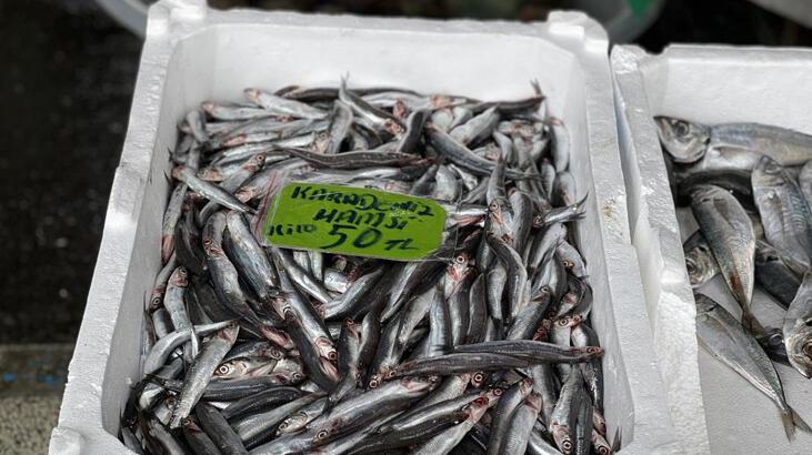 Fırtına balık fiyatlarını yükseltti Fırtına balık fiyatlarını yükseltti