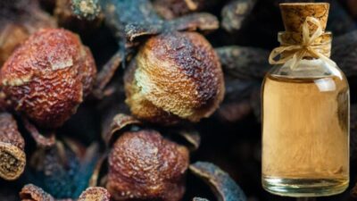 Kanserli hücreleri öldürüyor, şeker hastalığına iyi geliyor!