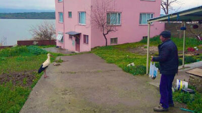 Bursa’daki bu dostluğu milyonlar takip ediyor! Adem Amca gelmeyince…