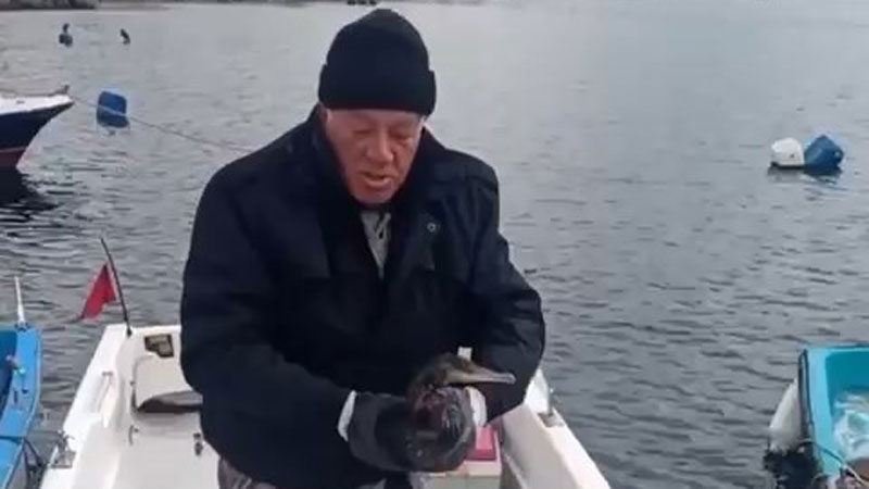 Bursa’da balıkçılar tarafından yaralı halde bulunan karabatak, veterinere teslim edildi.