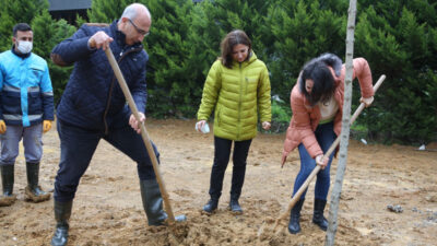 Daha yeşil bir çevre için fidan diktiler