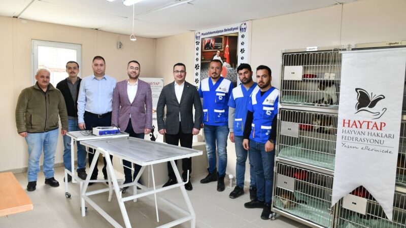 Mustafakemalpaşa’nın sessiz dostlarına ‘HAYTAP’ eli değdi Hayvan Hakları Federasyonu, Mustafakemalpaşa’nın sessiz dostlarının yaraları için 6 padoktan