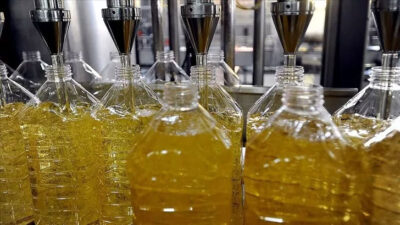 Rusya duyurdu! Ayçiçek yağı ithalatına kota geliyor