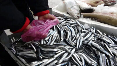 Olumsuz hava balık tezgahlarına yansıdı