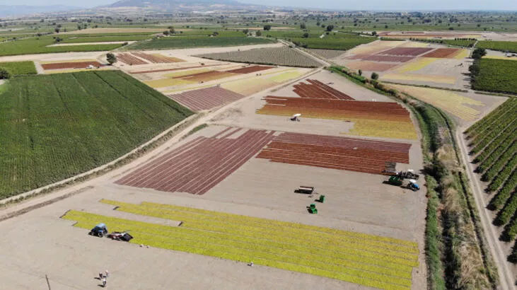 Satılık tarla ilanı Satılık tarla ilanı