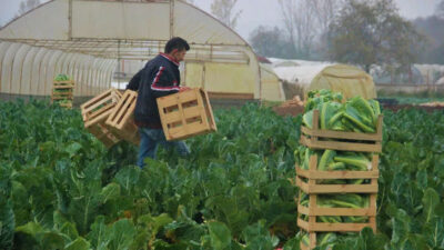 100 bin TL’ye kadar hibe! Başvuru için son gün yarın