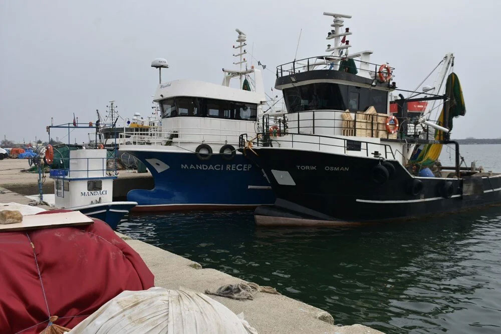 Karadeniz’de mayın korkusu! ‘Balık fiyatları patlayacak’ Karadeniz’de mayın korkusu! ‘Balık fiyatları patlayacak’