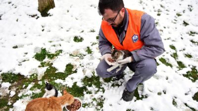 Yıldırım’da can dostlar emin ellerde