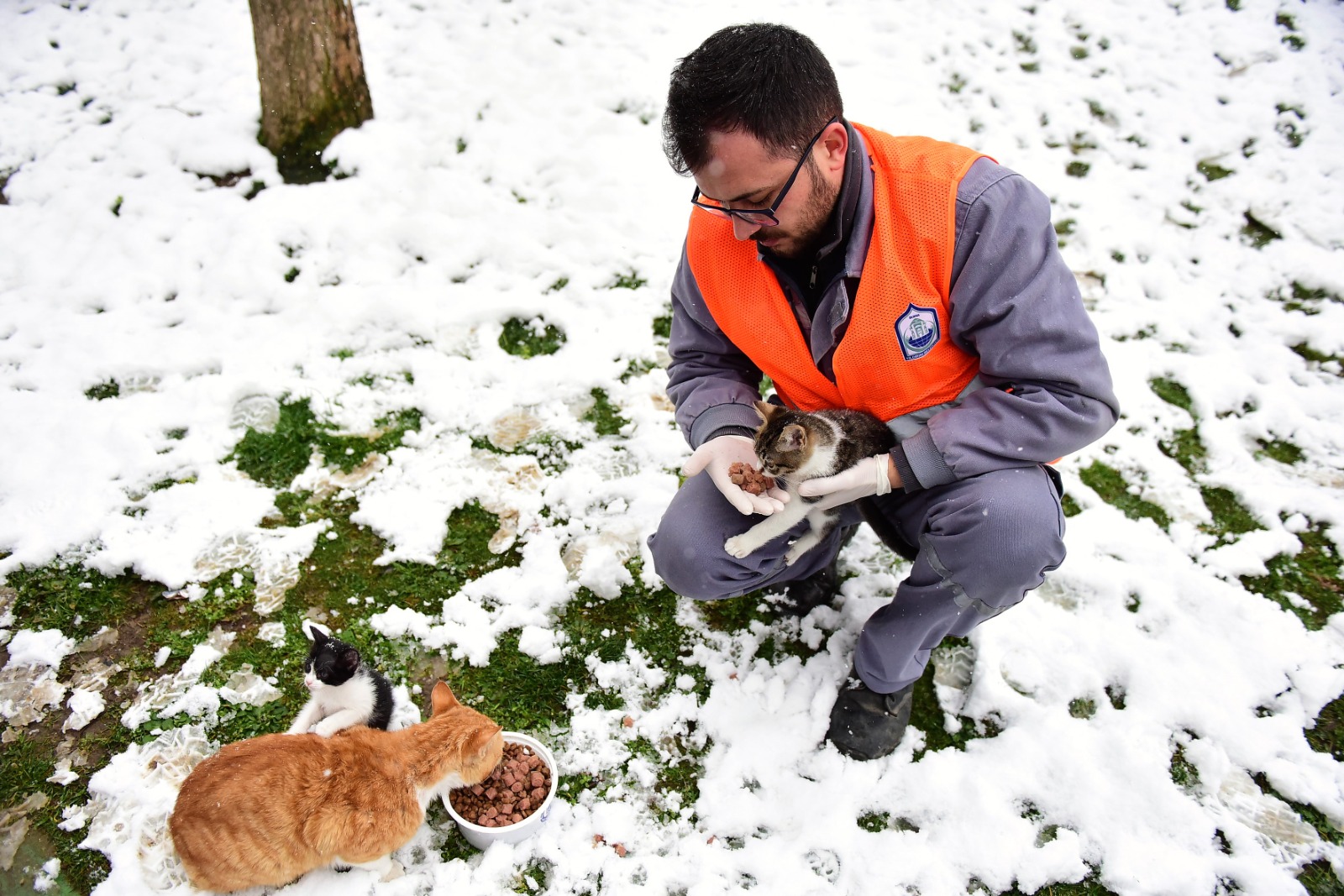 Yıldırım’da can dostlar emin ellerde