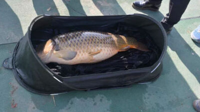 Yarından itibaren yasaklanıyor!