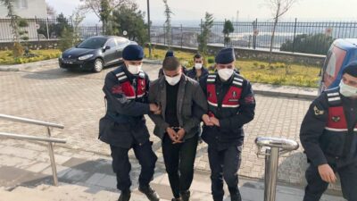 Bursa’da 2 bin zeytin fidanını çalmışlardı! Yakalandılar