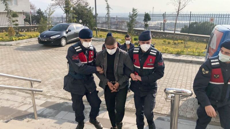 Bursa’da 2 bin zeytin fidanını çalmışlardı! Yakalandılar Bursa’da bir zeytin fidanlığına iki kamyonetle gelen hırsızlar, bir gecede