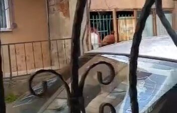 Bursa’da hırsızlar köşeye sıkışınca bakın ne yaptı?