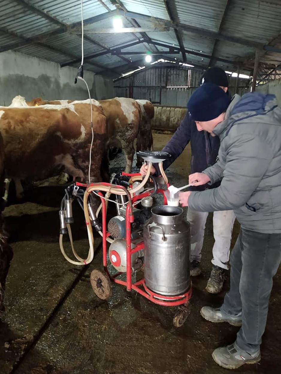 Bursa’da çiğ sütler sınıflandırılıyor