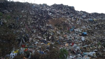 Bursa’da isyan ettiren görüntü! Köyü, sinek ve kargalar işgal etti…