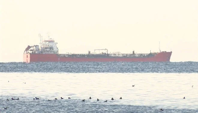 Ayçiçek yağı yüklü gemi Marmara’da
