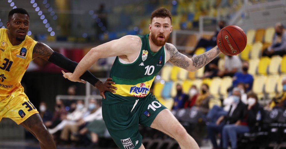 Timsah, İspanya’da kayıp