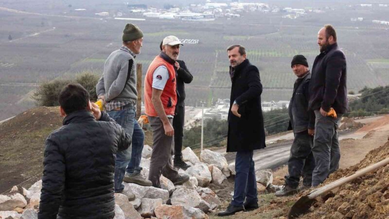 Gürsu Belediyesi tarafından inşası başlatılan hayvan bakım ve tedavi merkezinde