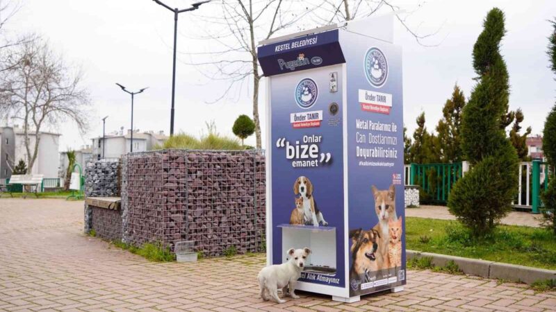 Kestel’de sokak hayvanları için ‘Mamamatik’ uygulaması Kestel Belediyesi, sokak hayvanları için 'Mamamatik' uygulamasını hayata geçirdi. İlçenin