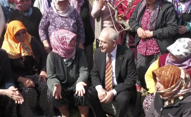 Üzüm bağında çalışan kadınlardan dikkat çeken konuşma! Üzüm bağında çalışan kadınlardan dikkat çeken konuşma!