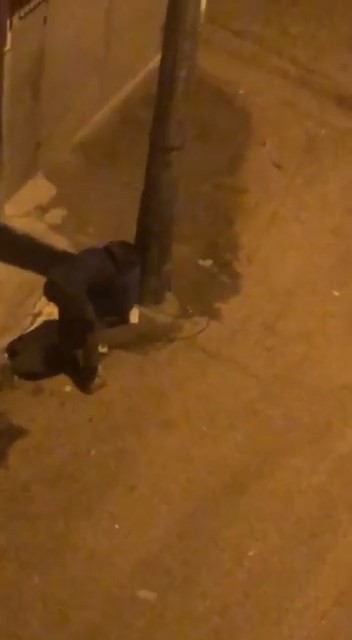 Bursa’da ‘pes’ dedirten olay! Demir makasla…