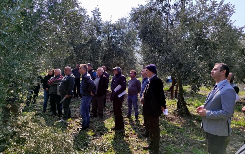 Mudanya’da üreticiye bahar eğitimi!
