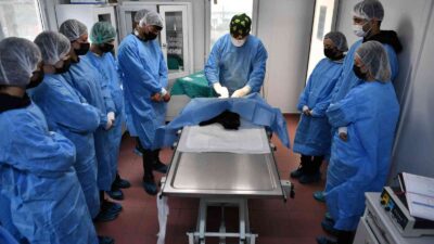 Öğrencilere uygulamalı veterinerlik eğitimi