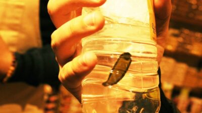 Alman talebi fiyatı yükseltti! 8 kat arttı!