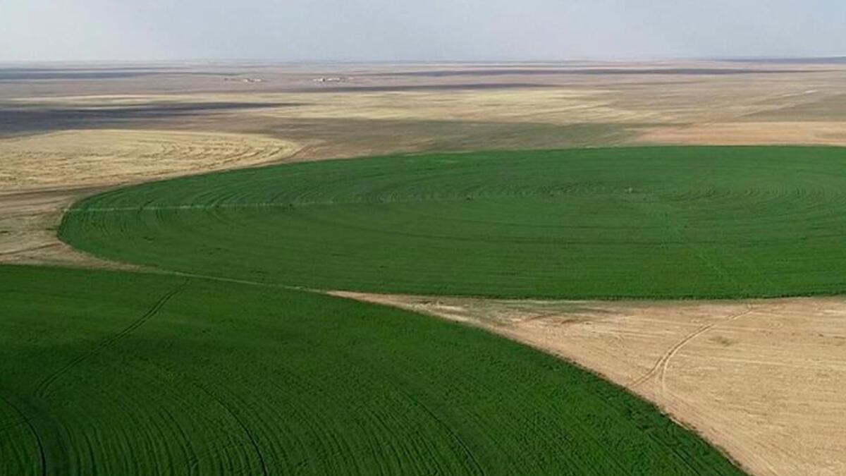 Özelleştirme İdaresi Başkanlığı 116 adet tarlayı satışa çıkardı…