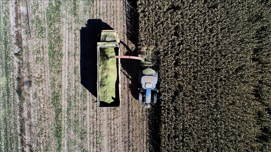 Rusya-Ukrayna savaşı tarıma ‘pozitif ayrımcılık’ adımlarını hızlandırdı