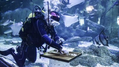 ‘Akvaryum Adam’ rekor için köpek balıklarının arasında çalıştı