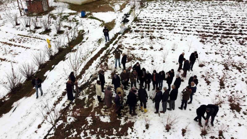 Bursa’nın Orhaneli ilçesinde çiftçilere yaban mersini budama ve gübreleme eğitimi