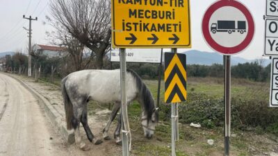 Bursa’da yol ortasında şoke eden görüntü!