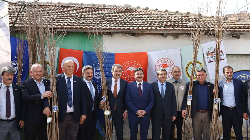 Mudanyalı çiftçiye Trabzon hurması desteği