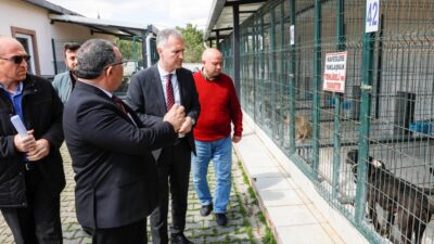 ‘Hayvanları sokağa terk etmeyin, barınağımıza getirin’